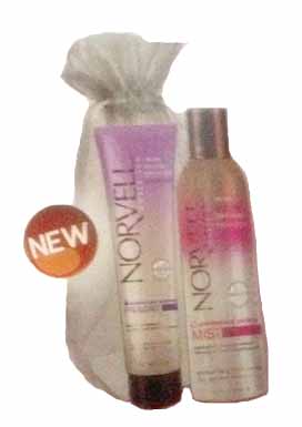 Norvell Holiday Large Gift Bag NVZ07